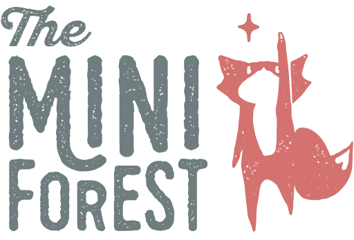 Blog The Mini Forest